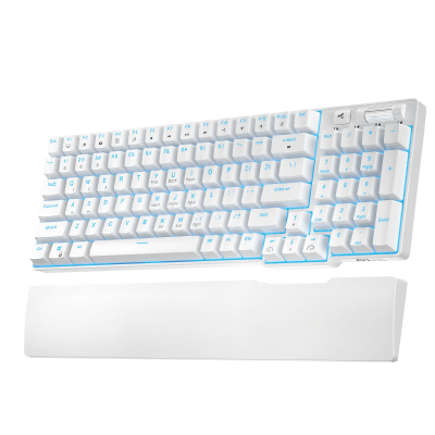 RK ROYAL KLUDGE RK96 RGB Limited Ed, 90% 96 Keys Wireless 3-Mode BT5.0/2.4G/USB-C Hot Swappable Mechanical Keyboard
