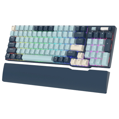 RK ROYAL KLUDGE RK96 RGB Limited Ed, 90% 96 Keys Wireless 3-Mode BT5.0/2.4G/USB-C Hot Swappable Mechanical Keyboard